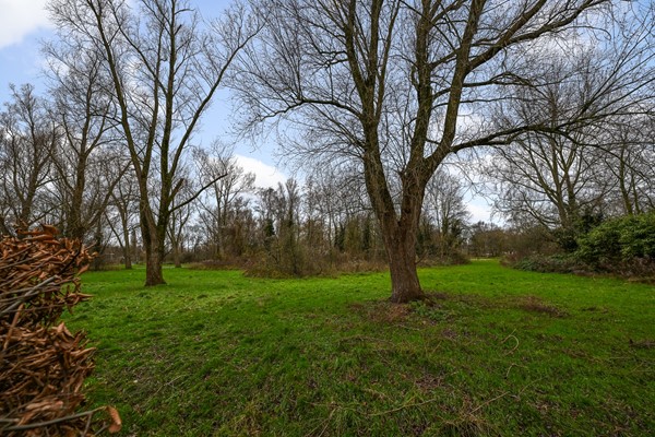 Medium property photo - Galjoenstraat 119, 1503 AR Zaandam